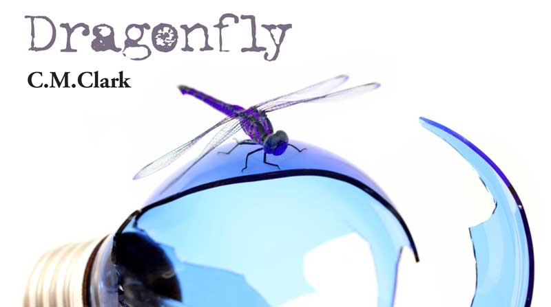 dragonfly_www_promo