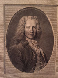 Voltaire young